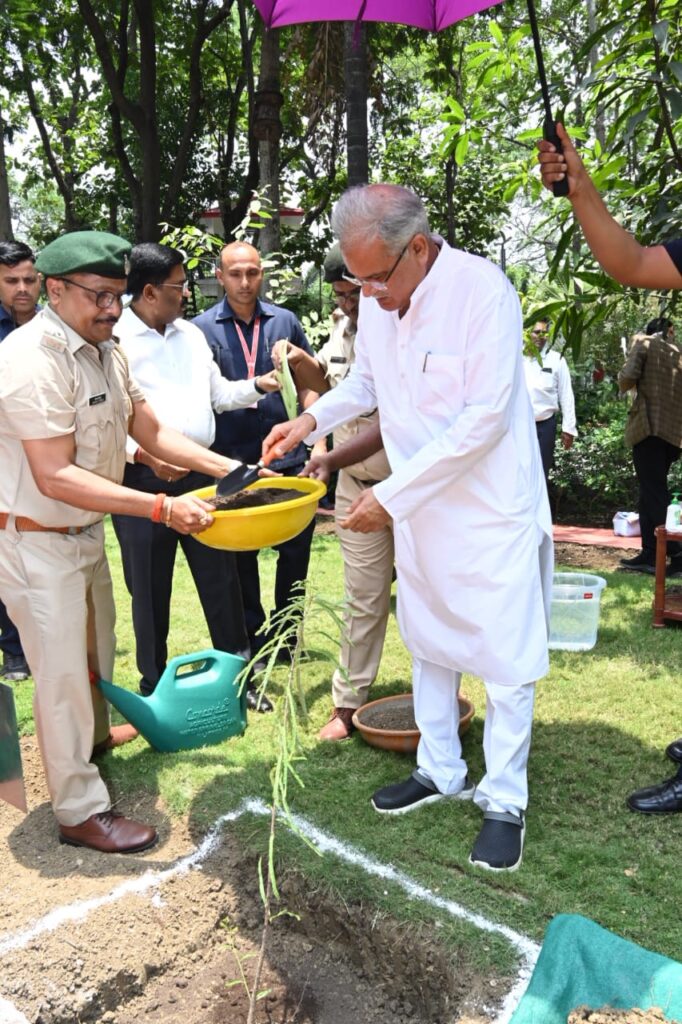 विश्व पर्यावरण दिवस: मुख्यमंत्री ने अपने निवास परिसर में रोपा आंवला का पौधा